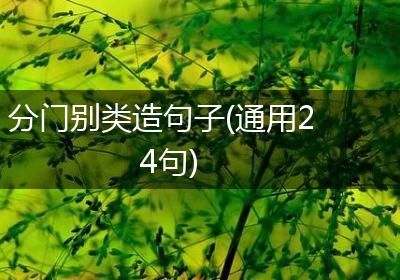 分门别类造句子(通用24句)