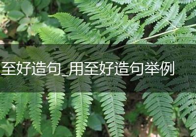 至好造句_用至好造句举例