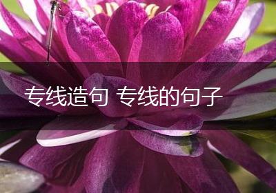 专线造句 专线的句子