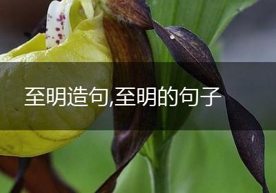 至明造句,至明的句子