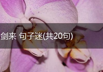 剑来 句子迷(共20句)