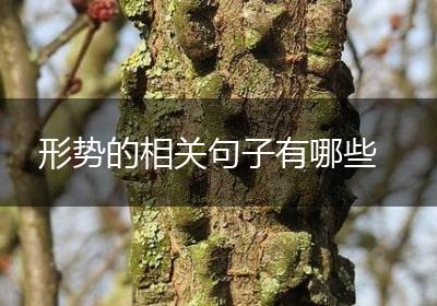 形势的相关句子有哪些