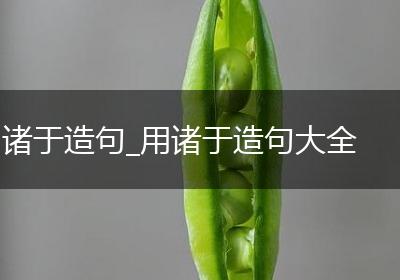 诸于造句_用诸于造句大全