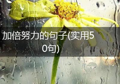 加倍努力的句子(实用50句)