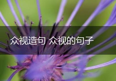 众视造句 众视的句子