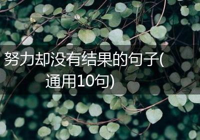 努力却没有结果的句子(通用10句)