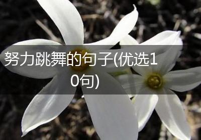 努力跳舞的句子(优选10句)