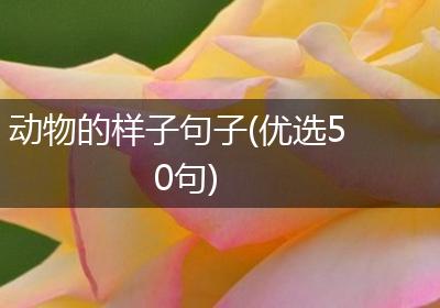 动物的样子句子(优选50句)