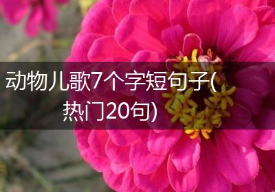 动物儿歌7个字短句子(热门20句)