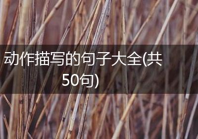 动作描写的句子大全(共50句)