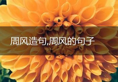 周风造句,周风的句子