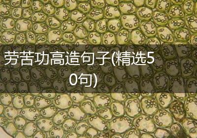 劳苦功高造句子(精选50句)