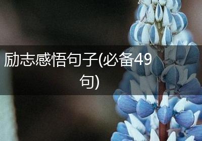 励志感悟句子(必备49句)