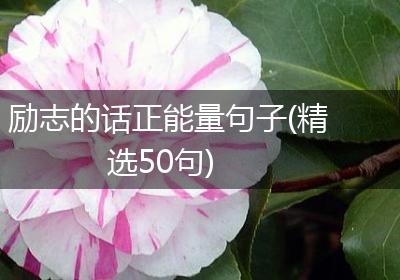 励志的话正能量句子(精选50句)