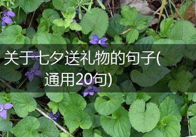 关于七夕送礼物的句子(通用20句)
