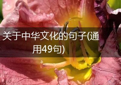 关于中华文化的句子(通用49句)