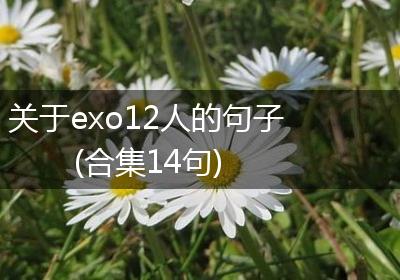 关于exo12人的句子(合集14句)