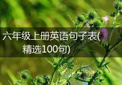六年级上册英语句子表(精选100句)