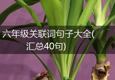 六年级关联词句子大全(汇总40句)