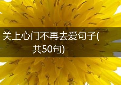 关上心门不再去爱句子(共50句)