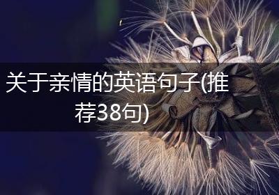 关于亲情的英语句子(推荐38句)
