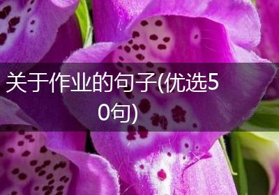关于作业的句子(优选50句)