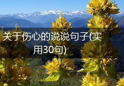 关于伤心的说说句子(实用30句)