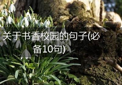 关于书香校园的句子(必备10句)