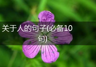 关于人的句子(必备10句)