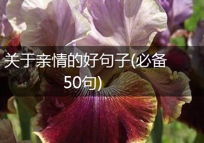 关于亲情的好句子(必备50句)