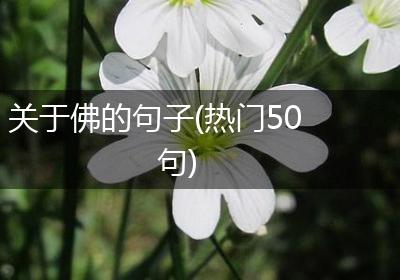 关于佛的句子(热门50句)