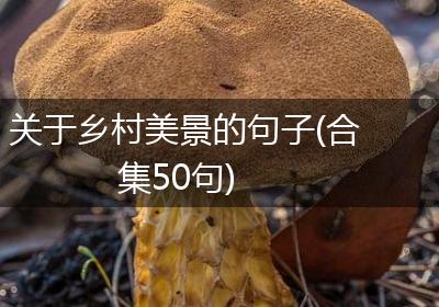 关于乡村美景的句子(合集50句)
