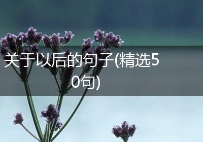 关于以后的句子(精选50句)