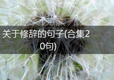 关于修辞的句子(合集20句)