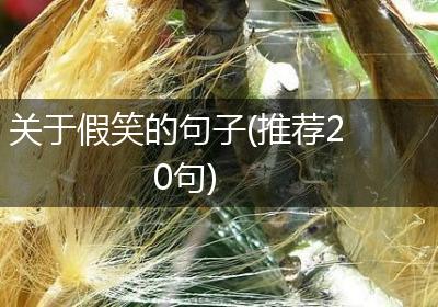 关于假笑的句子(推荐20句)
