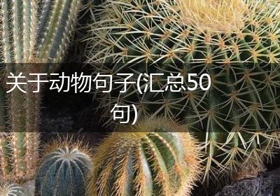 关于动物句子(汇总50句)