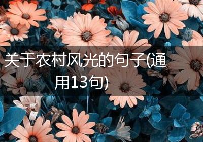 关于农村风光的句子(通用13句)