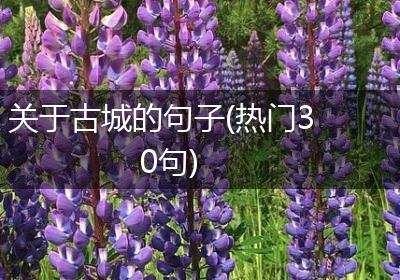 关于古城的句子(热门30句)