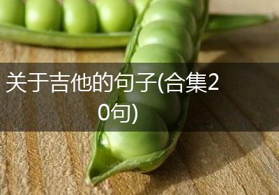 关于吉他的句子(合集20句)