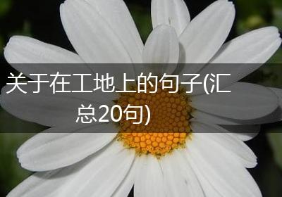 关于在工地上的句子(汇总20句)
