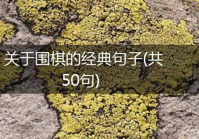 关于围棋的经典句子(共50句)