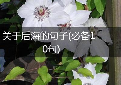 关于后海的句子(必备10句)