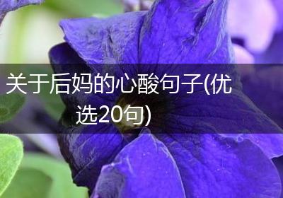 关于后妈的心酸句子(优选20句)