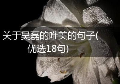 关于吴磊的唯美的句子(优选18句)