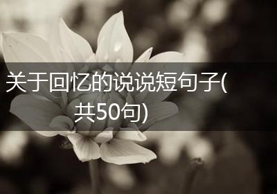 关于回忆的说说短句子(共50句)