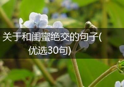 关于和闺蜜绝交的句子(优选30句)