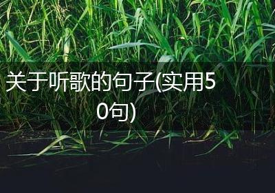 关于听歌的句子(实用50句)
