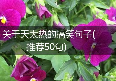 关于天太热的搞笑句子(推荐50句)