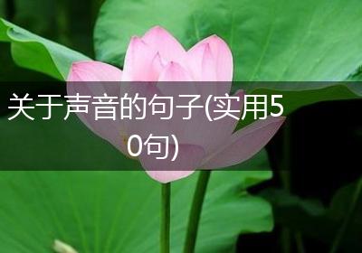 关于声音的句子(实用50句)