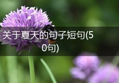 关于夏天的句子短句(50句)
